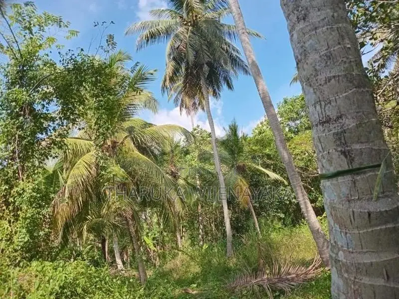 Land for Sale Kuliyapitiya