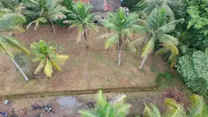 රුග්ගහවිවිලින් සුන්දර වෙල්යායකට මුහුණලා වටිනා ඉඩමක් / HS 15634