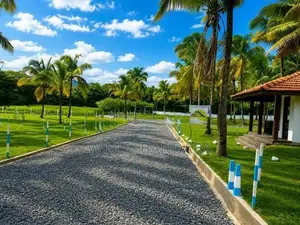 Commercial Land for Sale in Malsiripura D05