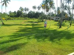 Best Land for Sale in Polgahawela S