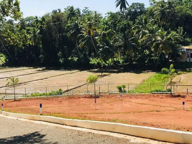 Paddy View Lands for Sale in Devundara