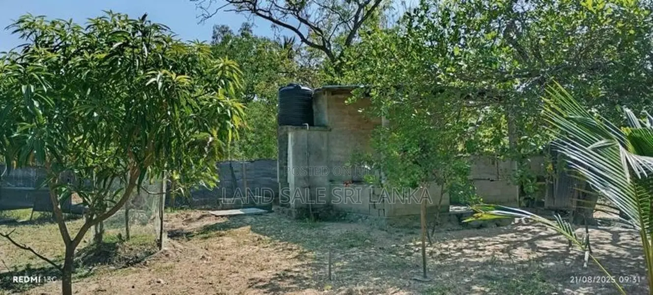 Land for Sale - வளவு விற்பனைக்கு