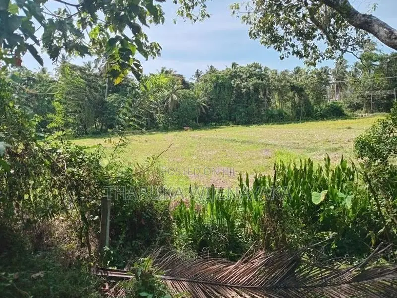 Land for Sale Kuliyapitiya