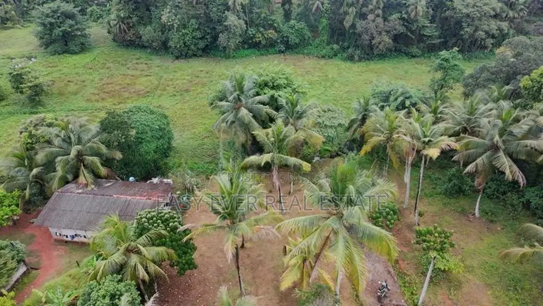 රුග්ගහවිවිලින් සුන්දර වෙල්යායකට මුහුණලා වටිනා ඉඩමක් / HS 15634