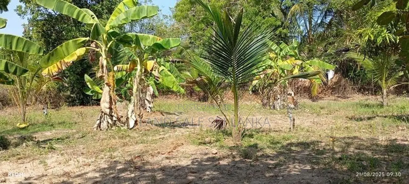 Land for Sale - வளவு விற்பனைக்கு
