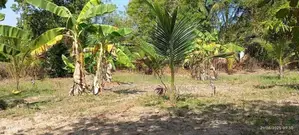 Land for Sale - வளவு விற்பனைக்கு