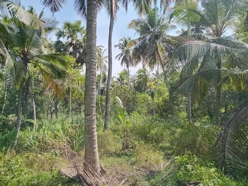 Land for Sale Kuliyapitiya