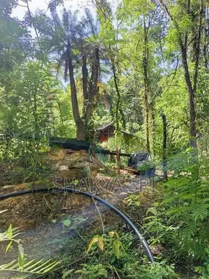 Land for Sale Bibile