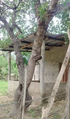 Land for Sale - வளவு விற்பனைக்கு