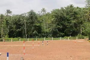 Land for Sale in Kasbawa Kidelpitiya