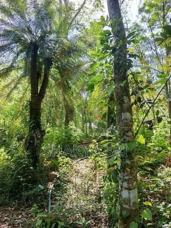Land for Sale Bibile
