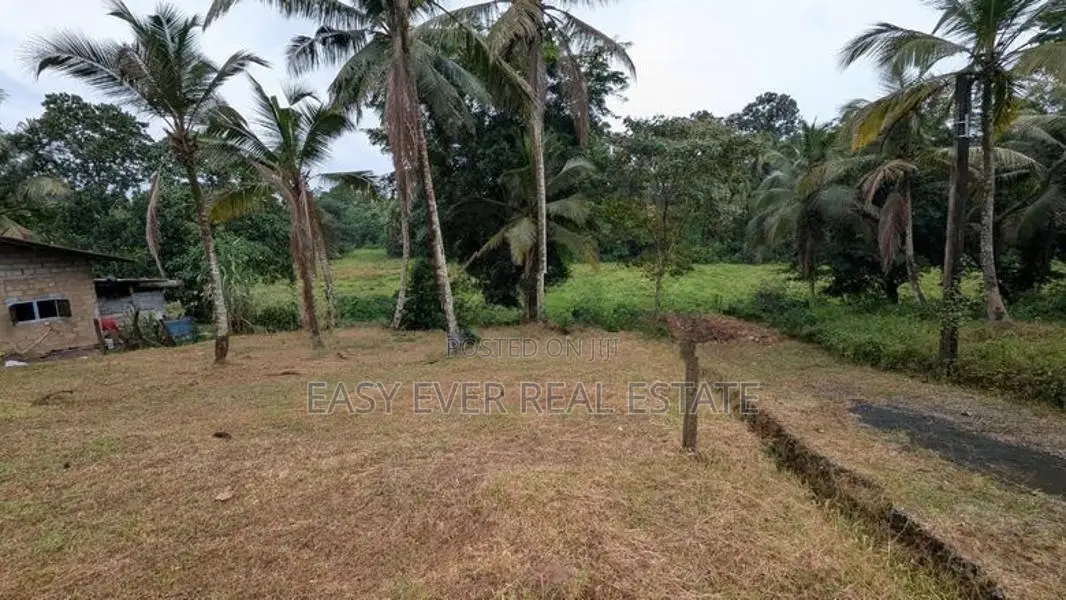 රුග්ගහවිවිලින් සුන්දර වෙල්යායකට මුහුණලා වටිනා ඉඩමක් / HS 15634