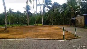 Residential Land for Sale in Meepe