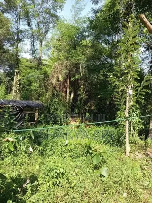 Land for Sale Bibile
