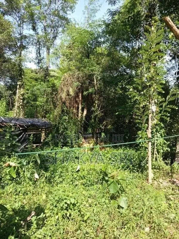 Land for Sale Bibile