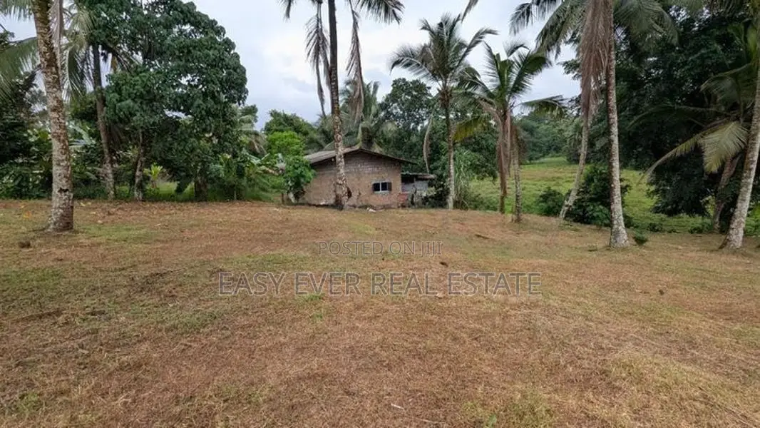 රුග්ගහවිවිලින් සුන්දර වෙල්යායකට මුහුණලා වටිනා ඉඩමක් / HS 15634