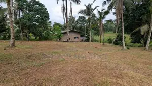 රුග්ගහවිවිලින් සුන්දර වෙල්යායකට මුහුණලා වටිනා ඉඩමක් / HS 15634
