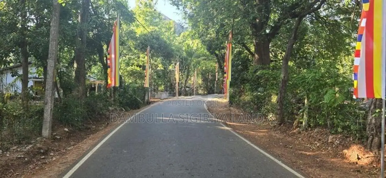 දඹුල්ලෙන් අනර්ග ඉඩමක් විකිණීමට - Land for Sale in Dambulla