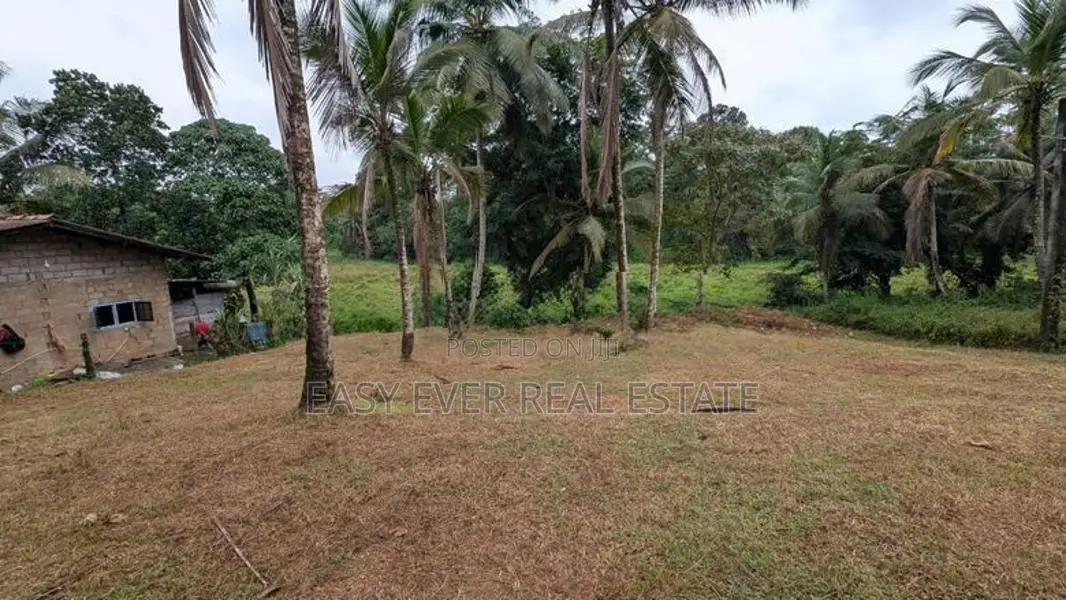 රුග්ගහවිවිලින් සුන්දර වෙල්යායකට මුහුණලා වටිනා ඉඩමක් / HS 15634