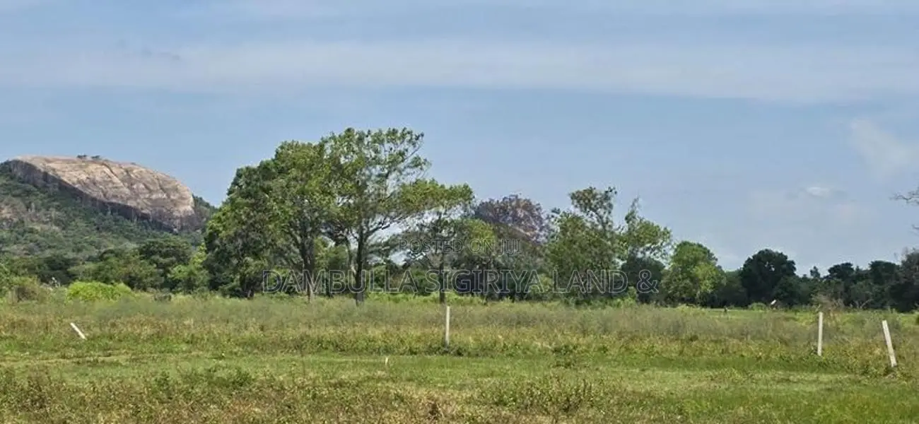 Land for sale in Sigiriya - සීගිරියෙන් ඉඩමක් විකිණීමට