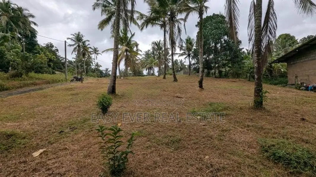 රුග්ගහවිවිලින් සුන්දර වෙල්යායකට මුහුණලා වටිනා ඉඩමක් / HS 15634