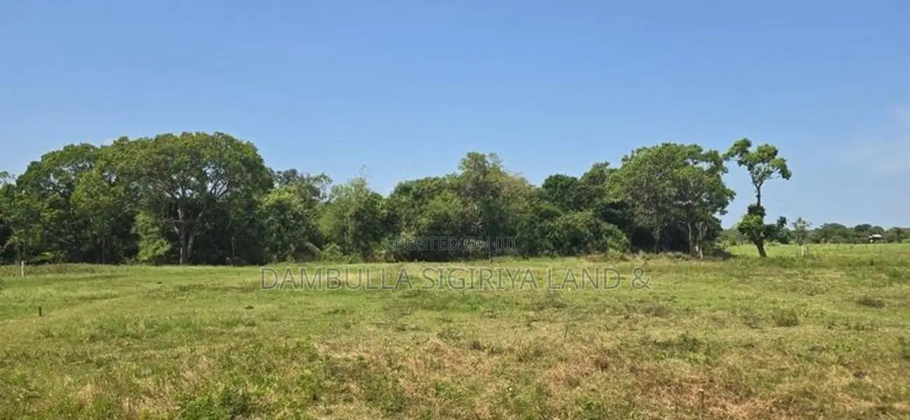 Land for sale in Sigiriya - සීගිරියෙන් ඉඩමක් විකිණීමට