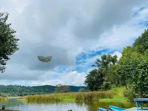 Land For Sale in Dambulla - දඹුල්ලේන් ඉඩමක් විකිණීමට