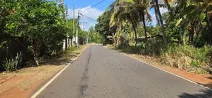 Land for Sale in Dambulla - දඹුල්ලෙන් ඉඩමක් විකිණීමට