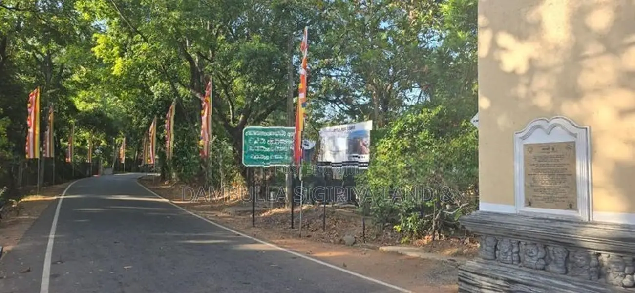 දඹුල්ලෙන් අනර්ග ඉඩමක් විකිණීමට - Land for Sale in Dambulla