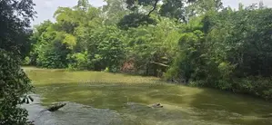 දඹුල්ලෙන් වටිනා ඉඩමක් විකිණීමට - Land For Sale in Dambulla