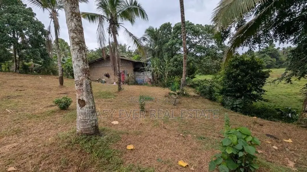 රුග්ගහවිවිලින් සුන්දර වෙල්යායකට මුහුණලා වටිනා ඉඩමක් / HS 15634