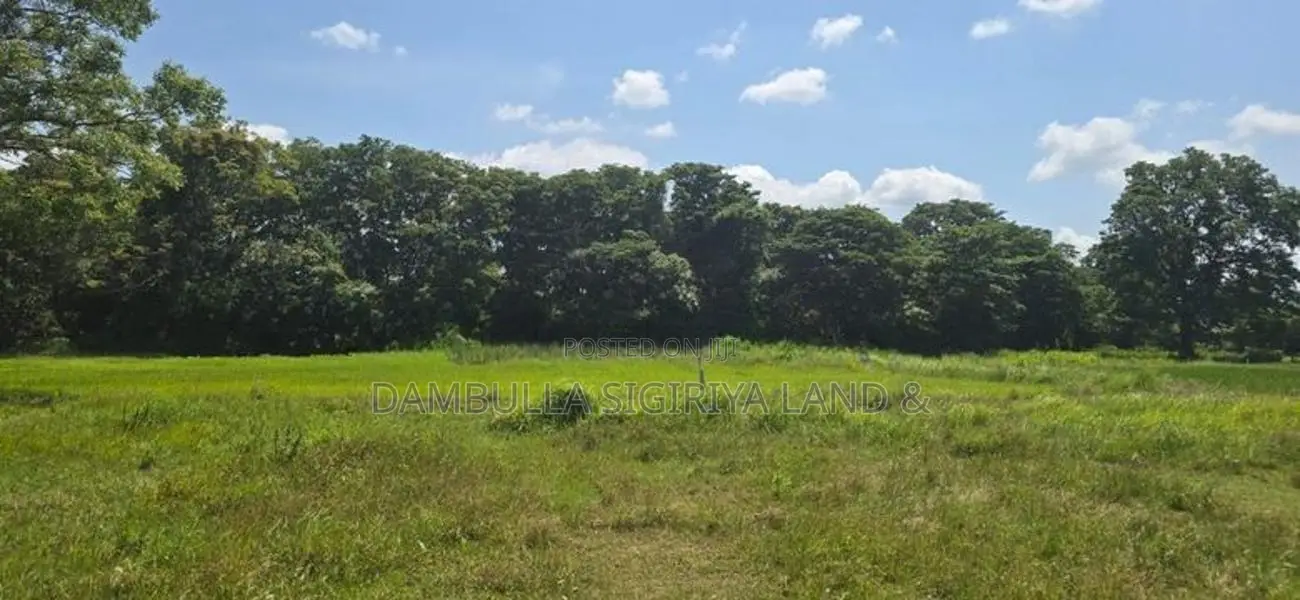 Land for sale in Sigiriya - සීගිරියෙන් ඉඩමක් විකිණීමට