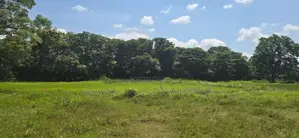 Land for sale in Sigiriya - සීගිරියෙන් ඉඩමක් විකිණීමට