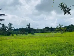 Land For Sale in Dambulla - දඹුල්ලේන් ඉඩමක් විකිණීමට