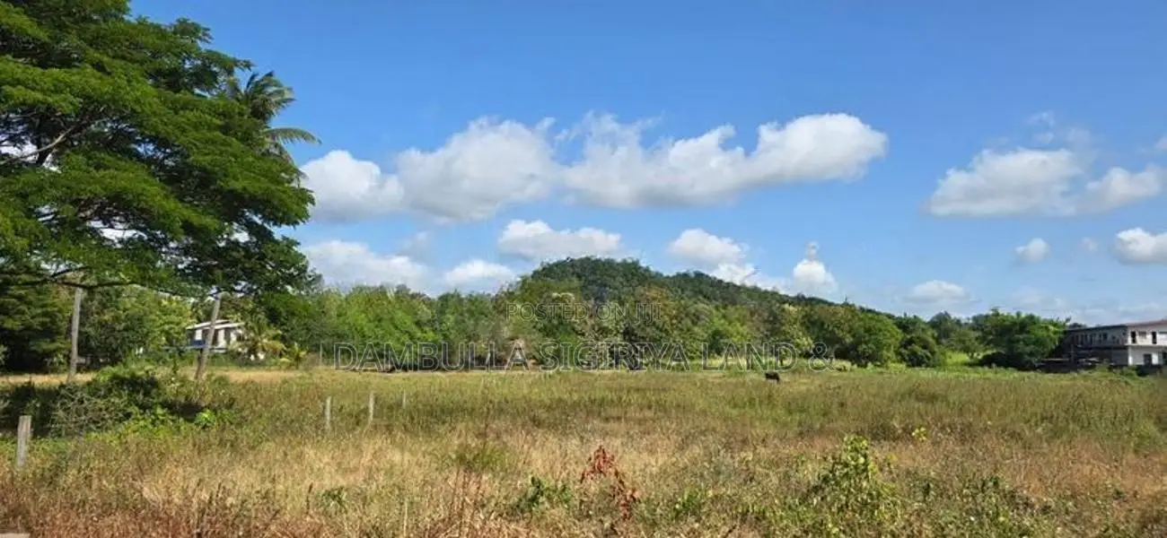 Land for Sale in Dambulla - දඹුල්ලෙන් ඉඩමක් විකිණීමට