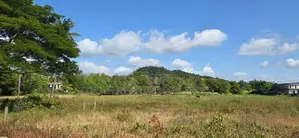 Land for Sale in Dambulla - දඹුල්ලෙන් ඉඩමක් විකිණීමට