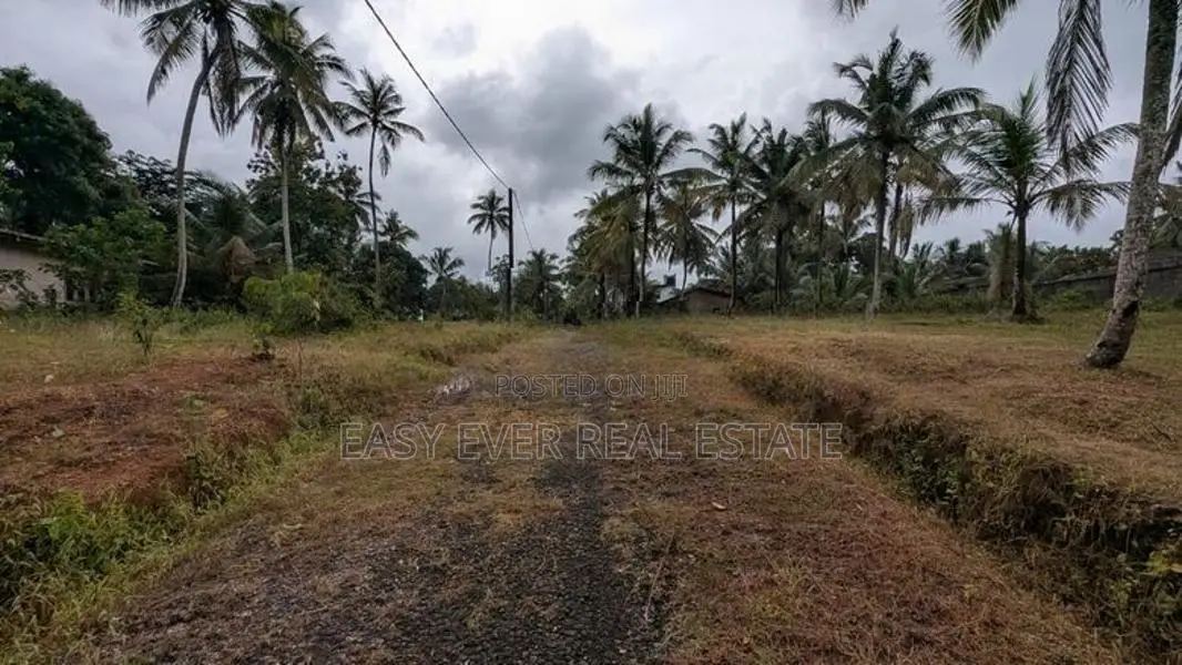 රුග්ගහවිවිලින් සුන්දර වෙල්යායකට මුහුණලා වටිනා ඉඩමක් / HS 15634