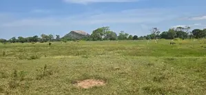 Land for sale in Sigiriya - සීගිරියෙන් ඉඩමක් විකිණීමට