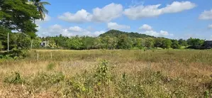Land for Sale in Dambulla - දඹුල්ලෙන් ඉඩමක් විකිණීමට