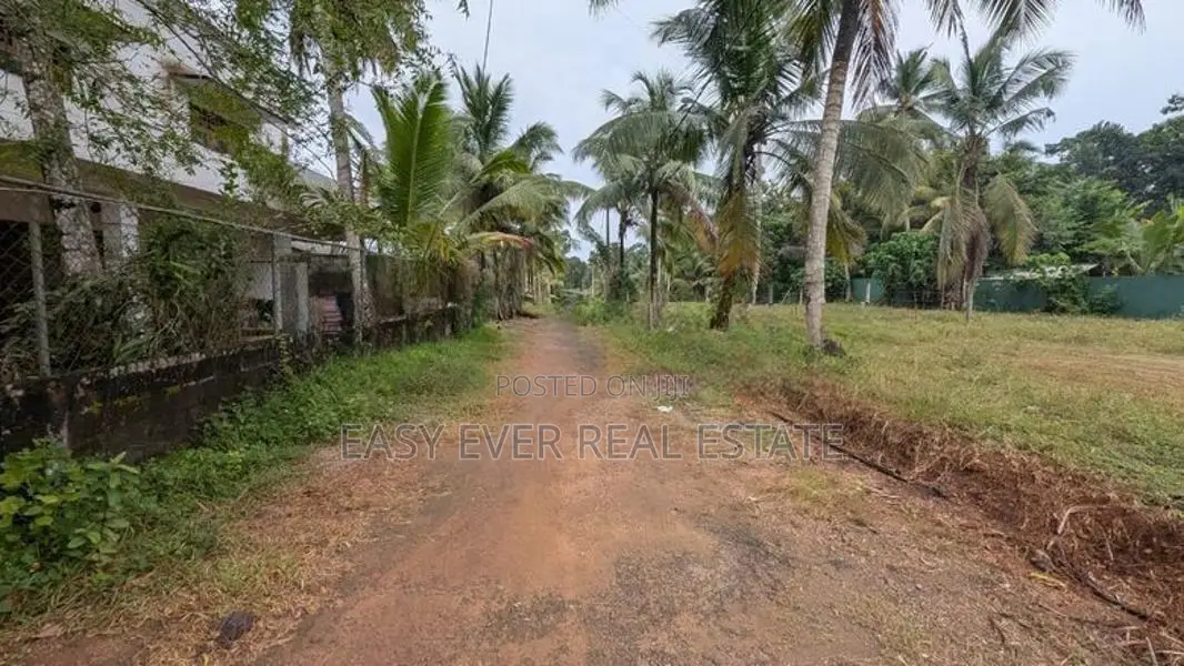 රුග්ගහවිවිලින් සුන්දර වෙල්යායකට මුහුණලා වටිනා ඉඩමක් / HS 15634