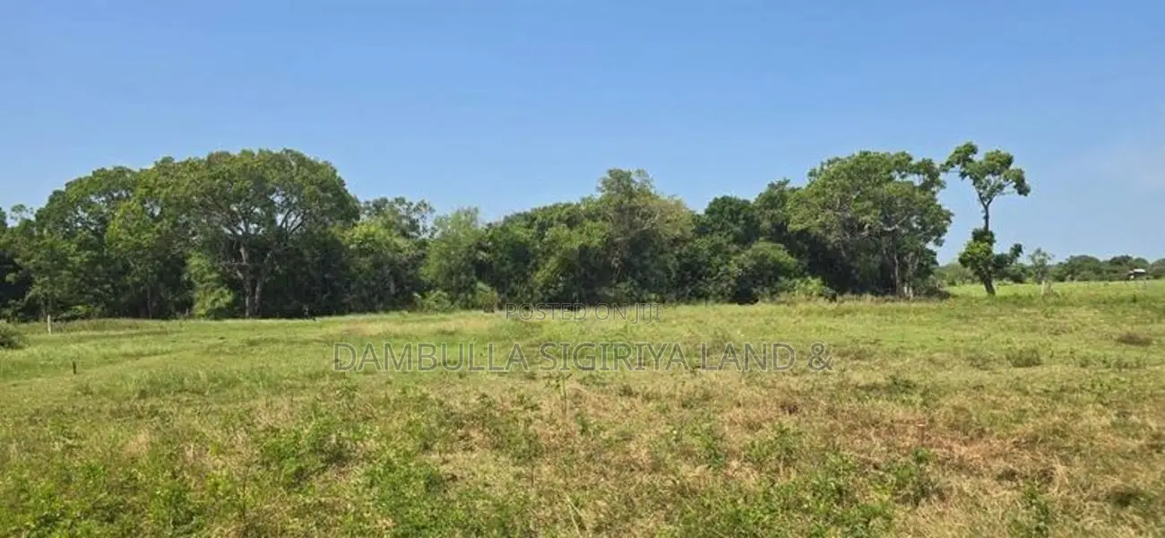 Land for sale in Sigiriya - සීගිරියෙන් ඉඩමක් විකිණීමට