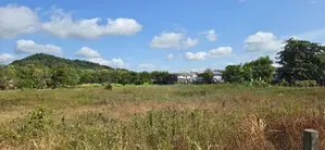 Land for Sale in Dambulla - දඹුල්ලෙන් ඉඩමක් විකිණීමට