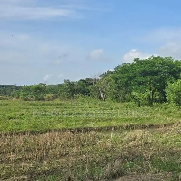 දඹුල්ල නගර මධ්‍යට ඉතාමත් සමීපයෙන් අනර්ග ඉඩමක්-Land for Sale in Dambull