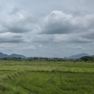 දඹුල්ල නගර මධ්‍යට ඉතාමත් සමීපයෙන් අනර්ග ඉඩමක්-Land for Sale in Dambull