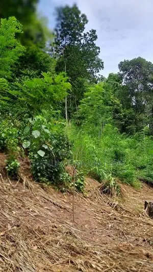 148P Land for Sale in Kandy Gelioya ( Kalugamuwa Road)