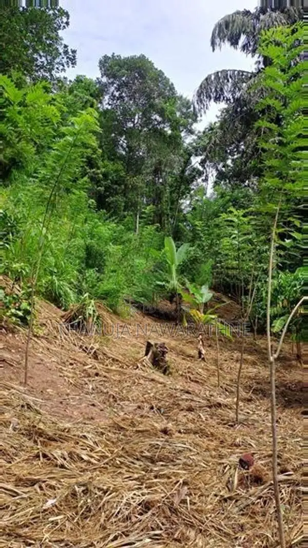148P Land for Sale in Kandy Gelioya ( Kalugamuwa Road)
