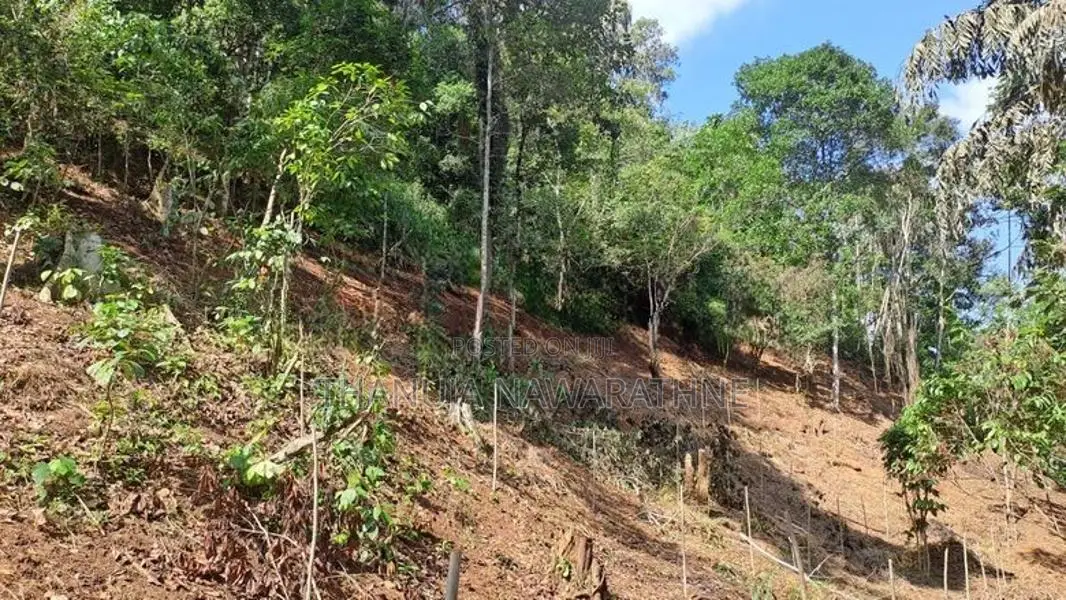148P Land for Sale in Kandy Gelioya ( Kalugamuwa Road)