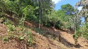 148P Land for Sale in Kandy Gelioya ( Kalugamuwa Road)