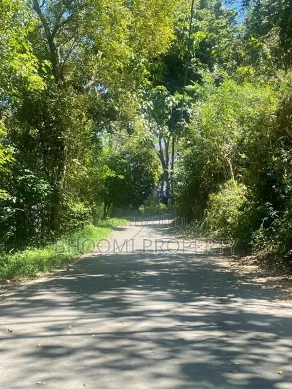 වික්ටෝරියා ජලාශය පෙනෙන මානයේ අගනා බිම් කොටස්