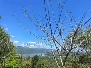 වික්ටෝරියා ජලාශය පෙනෙන මානයේ අගනා බිම් කොටස්